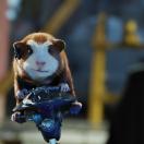 StillCut_0