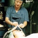 StillCut_6
