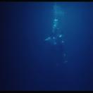 StillCut_19