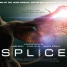 StillCut_0