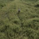 StillCut_0