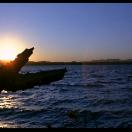 StillCut_0