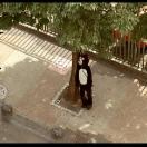 StillCut_0