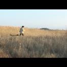 StillCut_4