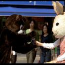 StillCut_1
