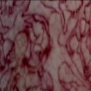 StillCut_5