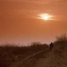 StillCut_1