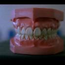 StillCut_0