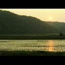 StillCut_4