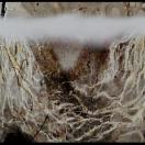 StillCut_5