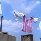 StillCut_4