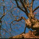 StillCut_0