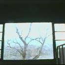StillCut_4