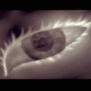 StillCut_2