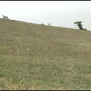 StillCut_4