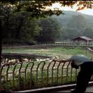 StillCut_4
