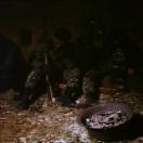 StillCut_4