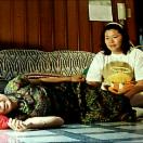 StillCut_3