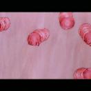 StillCut_4