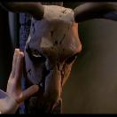 StillCut_0