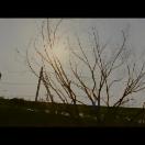 StillCut_1