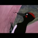 StillCut_2