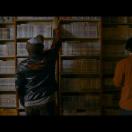 StillCut_0
