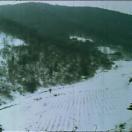 StillCut_1