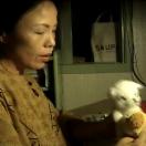 StillCut_0