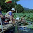 StillCut_0