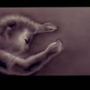 StillCut_1