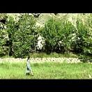 StillCut_2