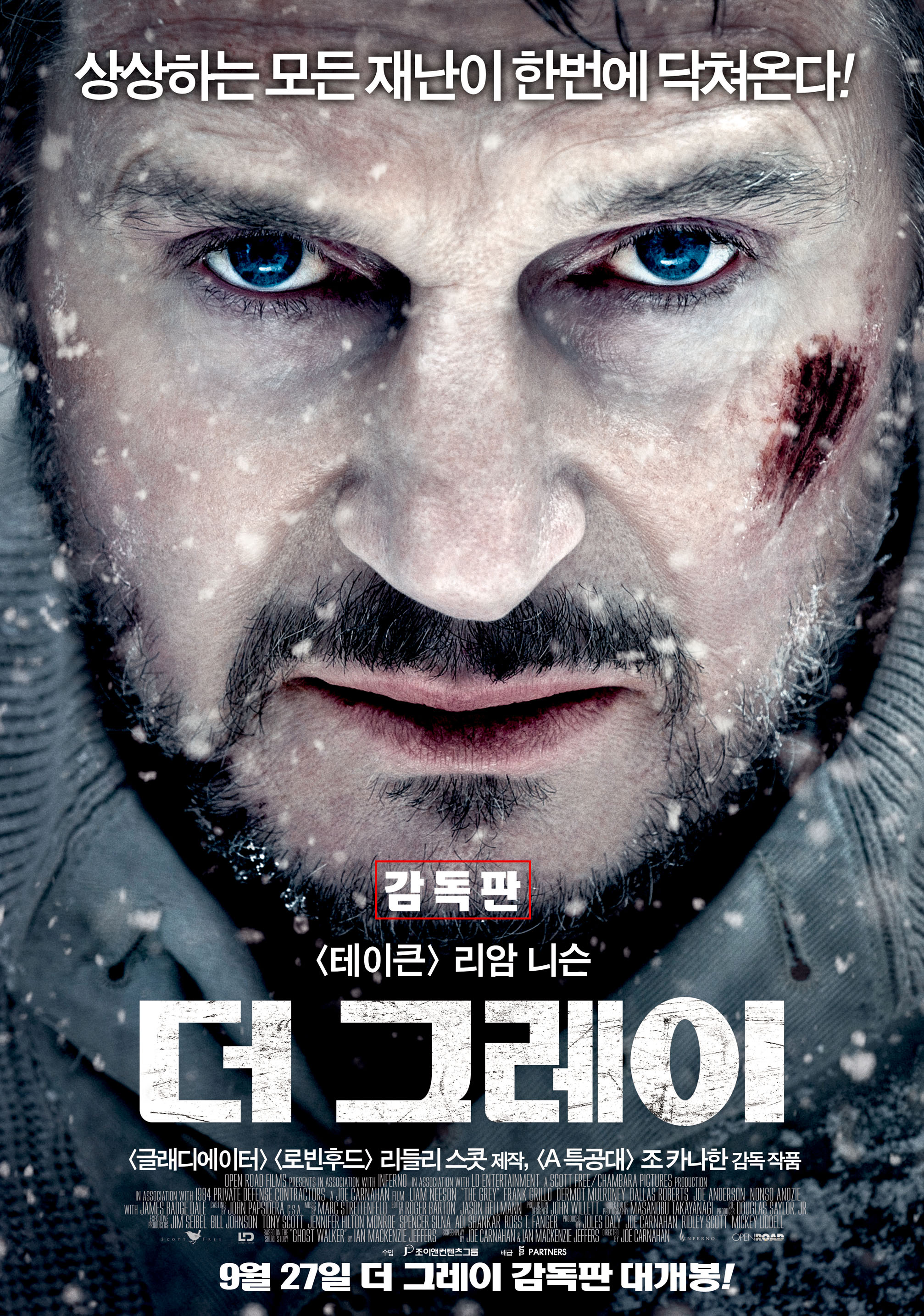 더 그레이 감독판