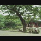 StillCut_5