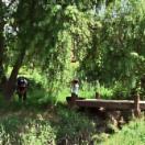 StillCut_0
