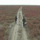 StillCut_0