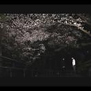 StillCut_1