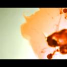 StillCut_1