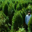 StillCut_0