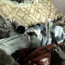 StillCut_0