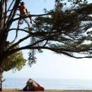 StillCut_0
