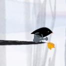 StillCut_0