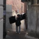 StillCut_0