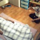 StillCut_1