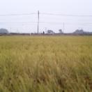 StillCut_0