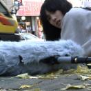 StillCut_0