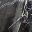 StillCut_2
