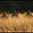 StillCut_0