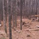 StillCut_1