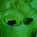 StillCut_3